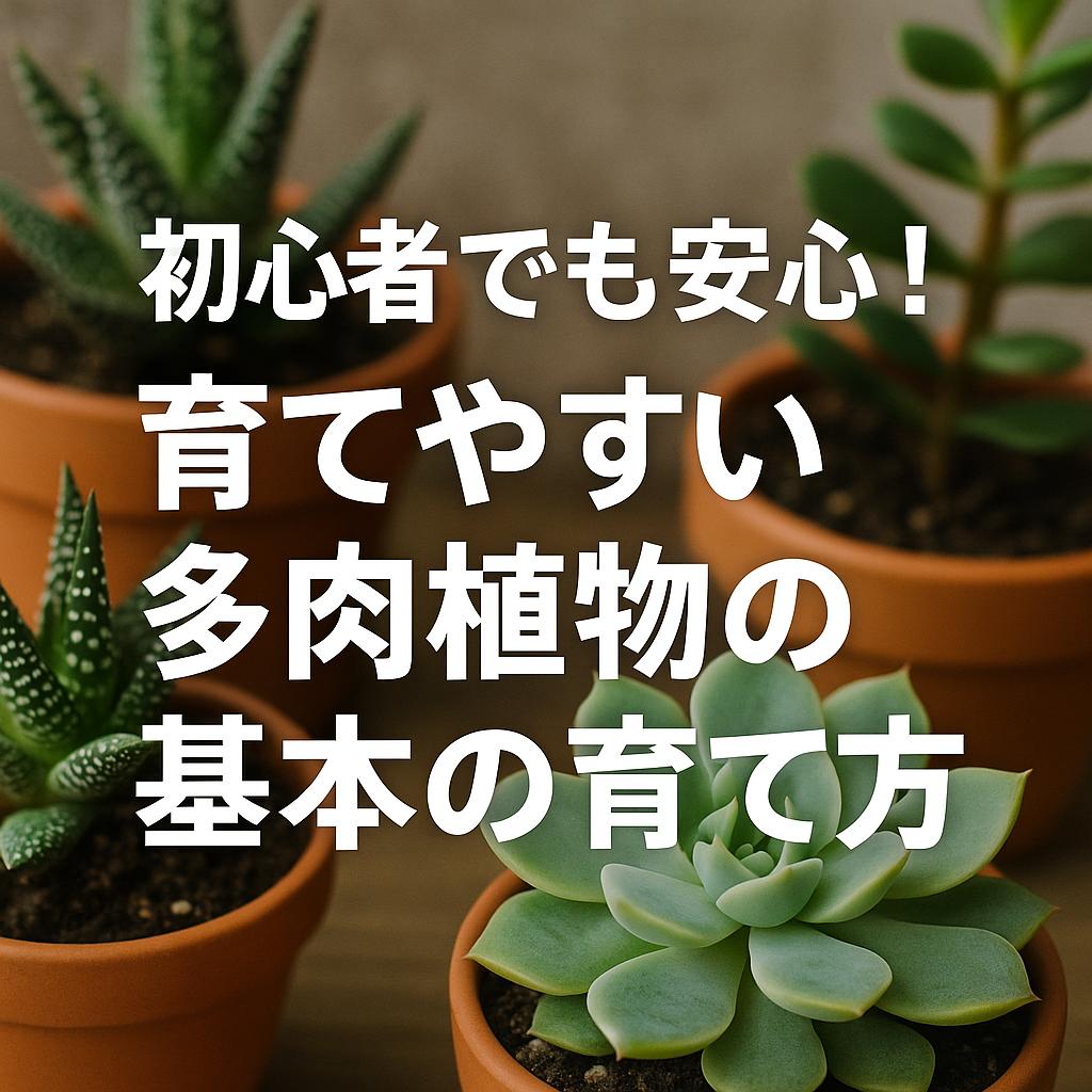 初心者でも安心!育てやすい多肉植物の基本の育て方